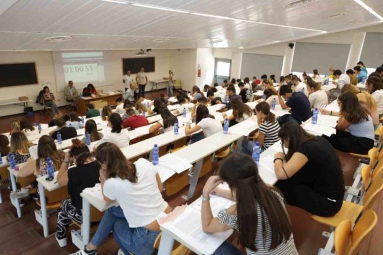 Veterinaria Medicina test covid (foto dal web)