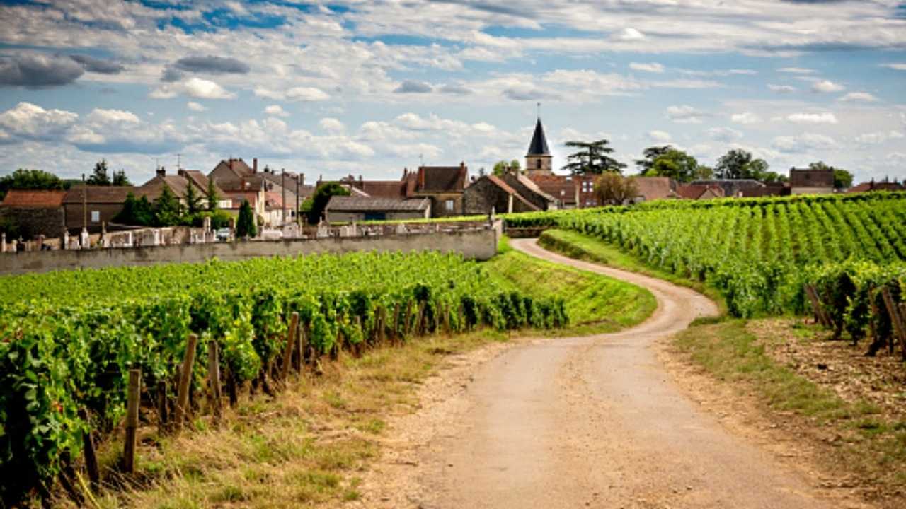 Film Non è un paese per vecchi