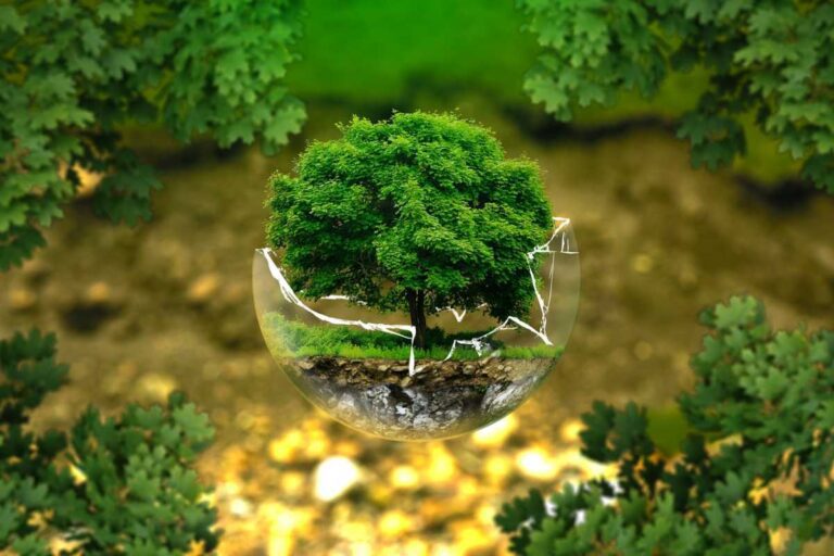 Risorse naturali