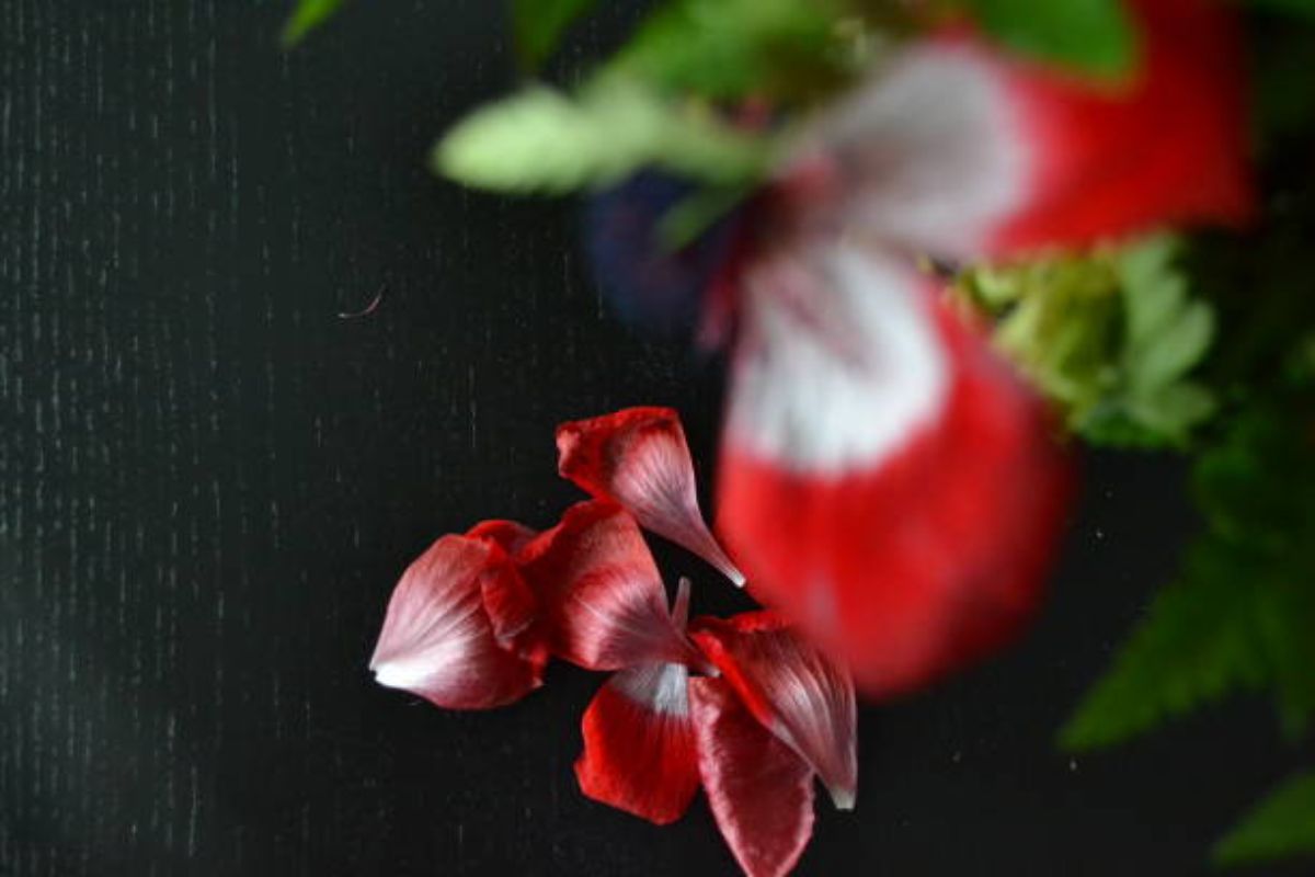 Altri 2 casi di femminicidio nel Sud