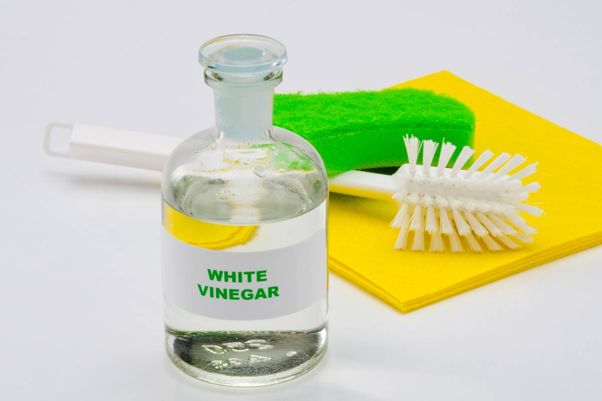 Una tazza e il bagno torna come nuovo